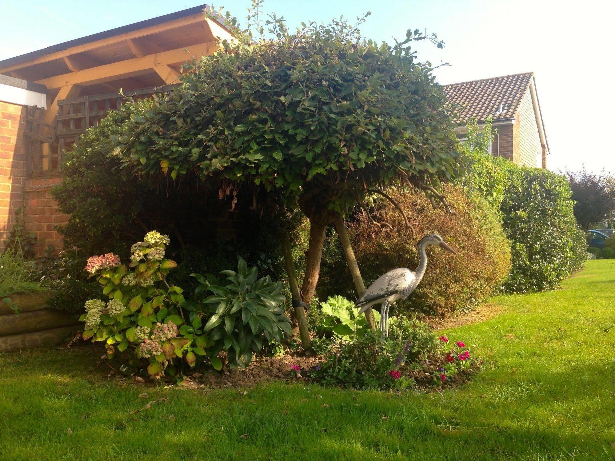 Herons Nest B&B Marlow  Dış mekan fotoğraf